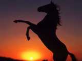 A l'aube...